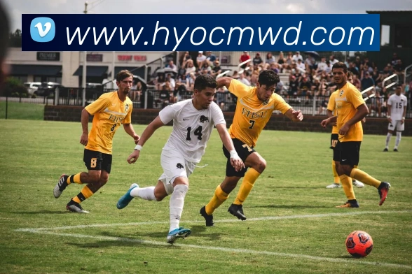 问鼎娱乐APP 封面图